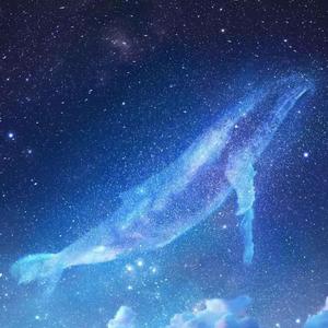 国产高清无码中文
