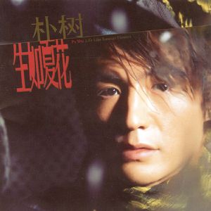 国产高清无码中文
